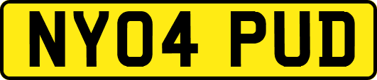 NY04PUD