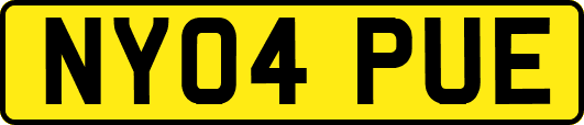 NY04PUE