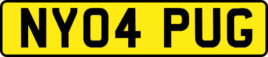 NY04PUG