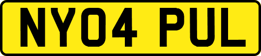 NY04PUL