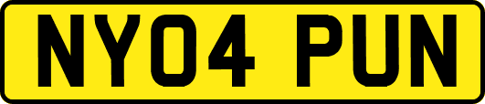 NY04PUN