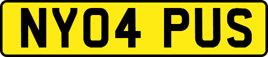 NY04PUS
