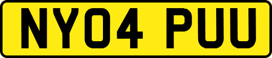 NY04PUU