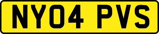 NY04PVS