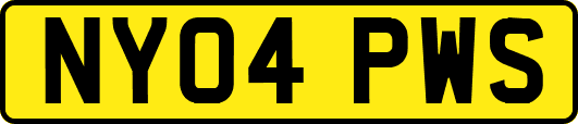 NY04PWS