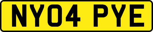 NY04PYE