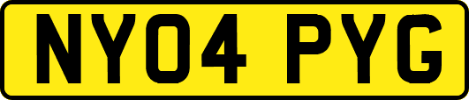 NY04PYG