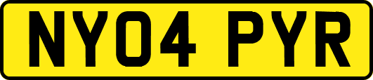 NY04PYR