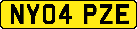 NY04PZE