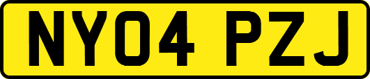 NY04PZJ