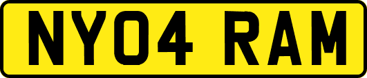 NY04RAM