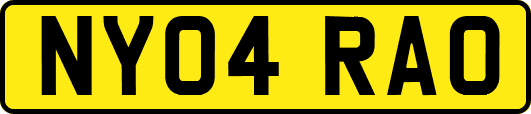 NY04RAO
