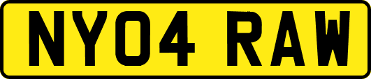 NY04RAW