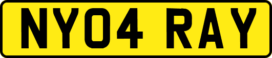 NY04RAY
