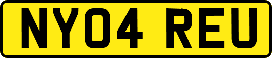 NY04REU