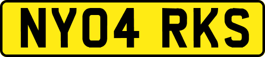 NY04RKS