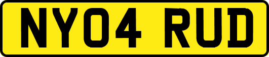 NY04RUD