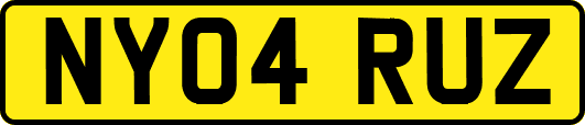 NY04RUZ