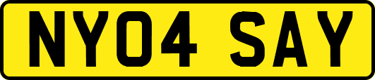 NY04SAY