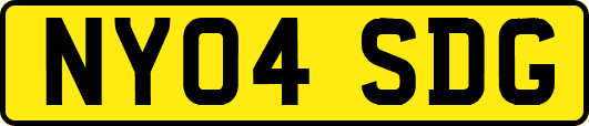 NY04SDG
