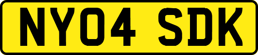 NY04SDK
