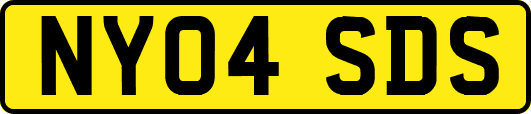 NY04SDS