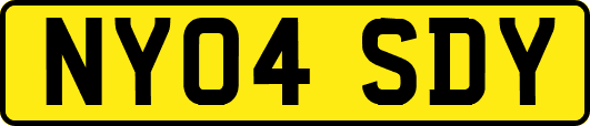 NY04SDY