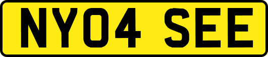 NY04SEE