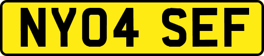 NY04SEF