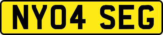 NY04SEG