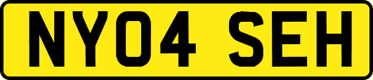 NY04SEH