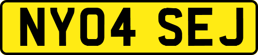 NY04SEJ