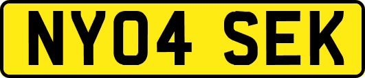 NY04SEK