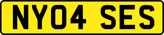 NY04SES