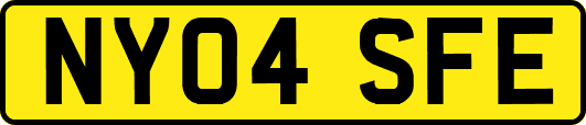 NY04SFE