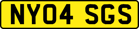 NY04SGS