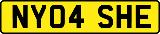 NY04SHE