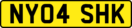 NY04SHK