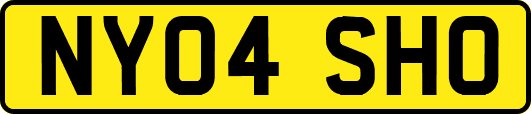 NY04SHO