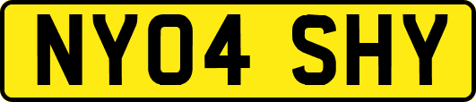 NY04SHY