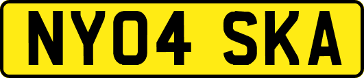 NY04SKA