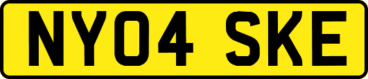 NY04SKE