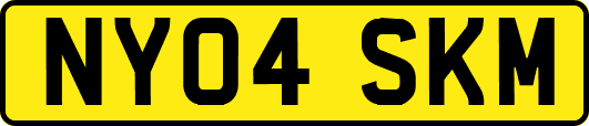 NY04SKM