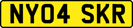 NY04SKR