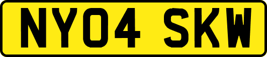 NY04SKW