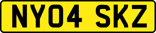 NY04SKZ