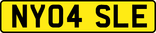 NY04SLE