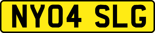 NY04SLG
