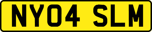 NY04SLM