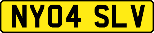 NY04SLV